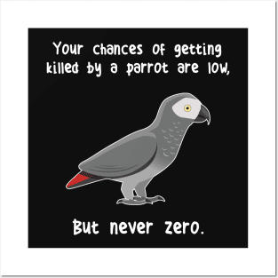 African Grey Parrot Never Zero Posters and Art